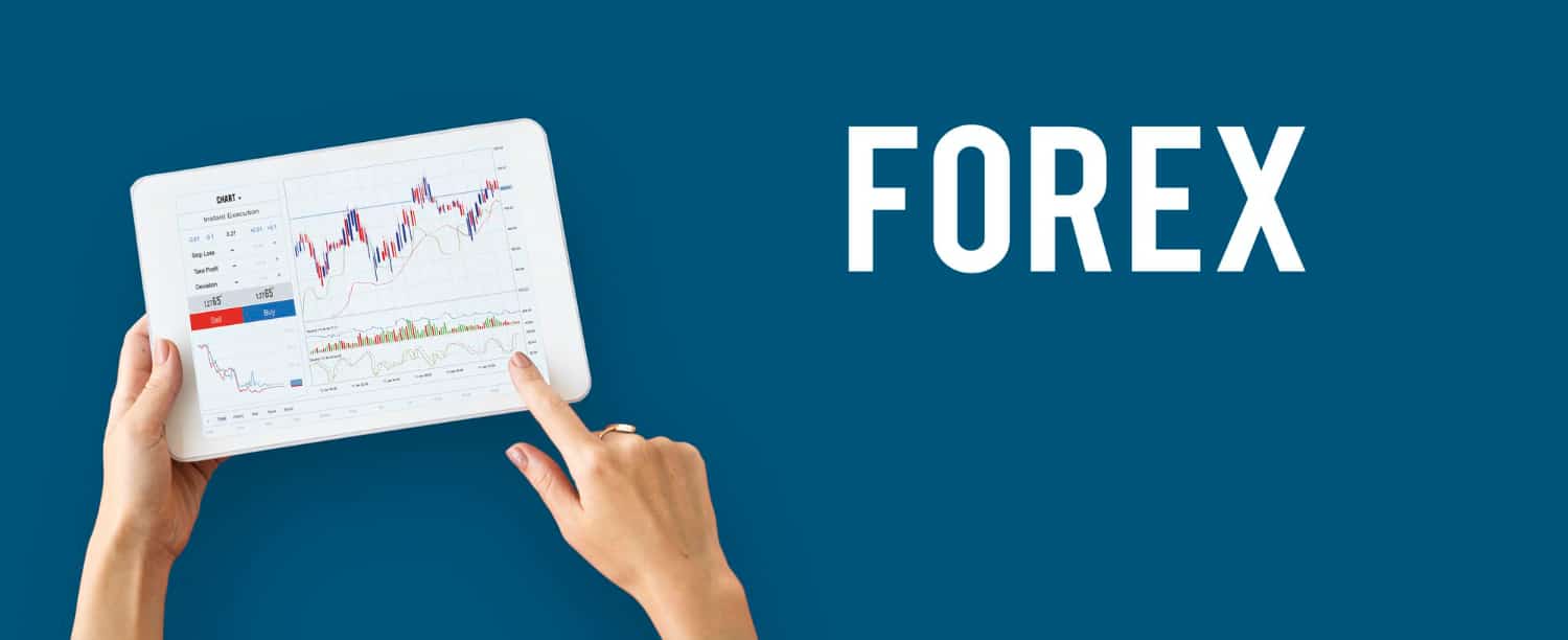 forex seo